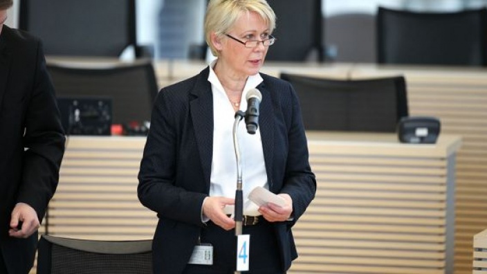 Astrid Damerow, MdL
